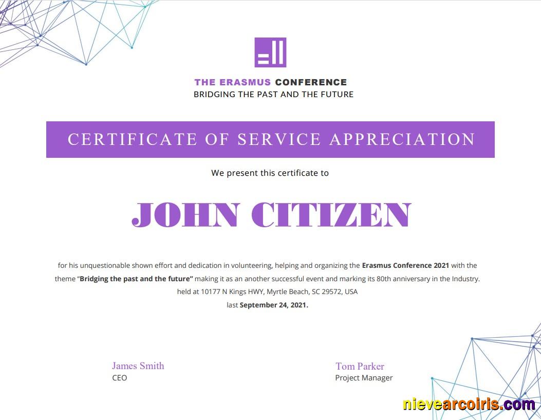 USA Volunteer Certificate